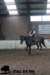 staldeeikimg_2716_small.jpg