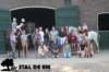 staldeeikimg_2719_small.jpg