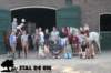 staldeeikimg_2720_small.jpg