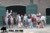 staldeeikimg_2724_small.jpg