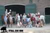staldeeikimg_2725_small.jpg