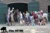 staldeeikimg_2735_small.jpg