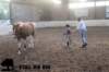 staldeeikimg_2740_small.jpg