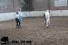 staldeeikimg_2744_small.jpg