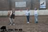 staldeeikimg_2748_small.jpg