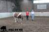 staldeeikimg_2752_small.jpg