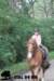 staldeeikimg_2756_small.jpg
