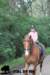 staldeeikimg_2757_small.jpg