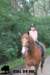 staldeeikimg_2758_small.jpg