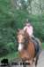 staldeeikimg_2759_small.jpg