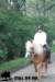 staldeeikimg_2760_small.jpg
