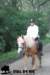 staldeeikimg_2761_small.jpg