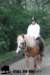 staldeeikimg_2762_small.jpg