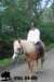 staldeeikimg_2765_small.jpg