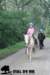 staldeeikimg_2766_small.jpg