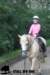 staldeeikimg_2769_small.jpg
