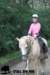 staldeeikimg_2770_small.jpg