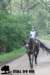 staldeeikimg_2771_small.jpg