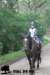 staldeeikimg_2772_small.jpg