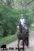 staldeeikimg_2773_small.jpg