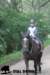 staldeeikimg_2774_small.jpg