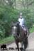 staldeeikimg_2775_small.jpg