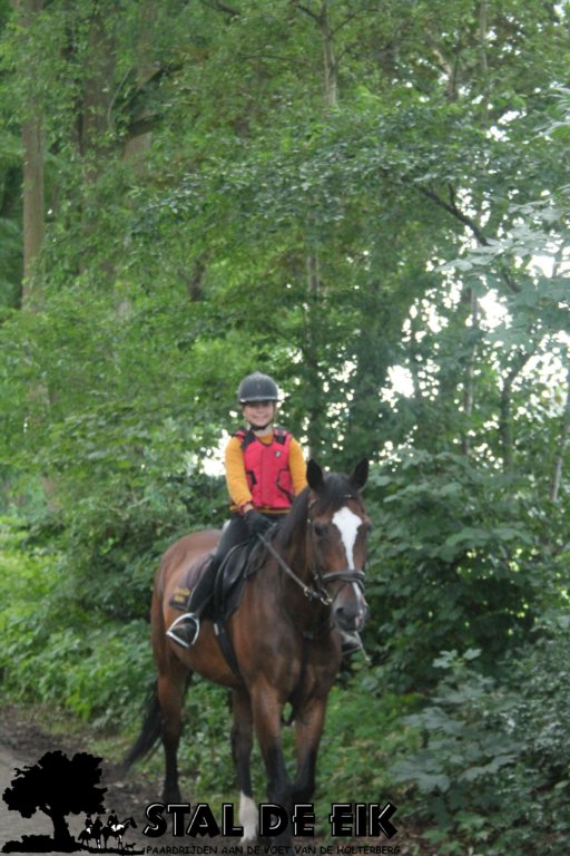 staldeeikimg_2776.jpg
