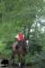 staldeeikimg_2776_small.jpg