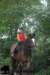 staldeeikimg_2777_small.jpg