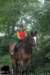 staldeeikimg_2778_small.jpg