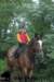 staldeeikimg_2779_small.jpg