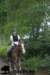 staldeeikimg_2780_small.jpg