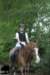 staldeeikimg_2783_small.jpg