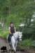 staldeeikimg_2785_small.jpg