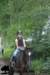 staldeeikimg_2788_small.jpg