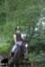 staldeeikimg_2789_small.jpg