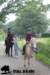 staldeeikimg_2814_small.jpg