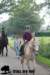 staldeeikimg_2815_small.jpg