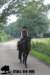 staldeeikimg_2820_small.jpg