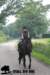 staldeeikimg_2821_small.jpg