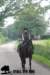 staldeeikimg_2822_small.jpg