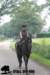 staldeeikimg_2823_small.jpg
