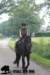 staldeeikimg_2824_small.jpg