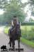 staldeeikimg_2825_small.jpg