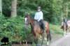 staldeeikimg_2828_small.jpg