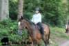 staldeeikimg_2829_small.jpg