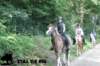 staldeeikimg_2830_small.jpg