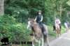 staldeeikimg_2831_small.jpg