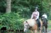 staldeeikimg_2833_small.jpg