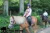 staldeeikimg_2834_small.jpg